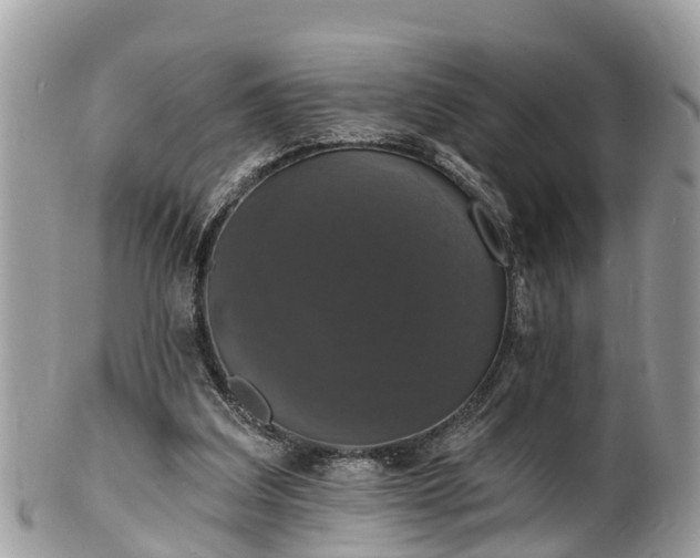 X0000102040203200807251422