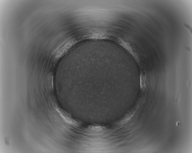 X0000102040205200807251422