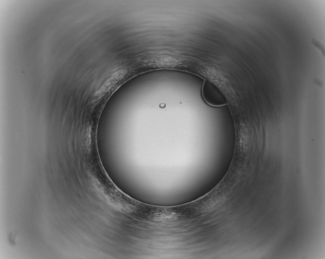 X0000102040206200807251422