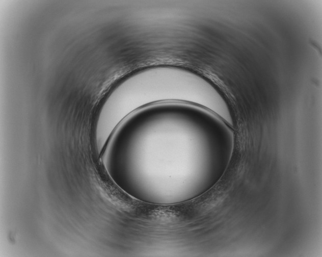 X0000102040207200807251422