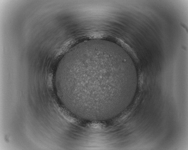 X0000102040209200807251422