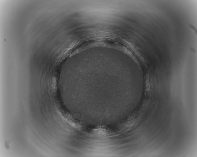 X0000102040211200807251422