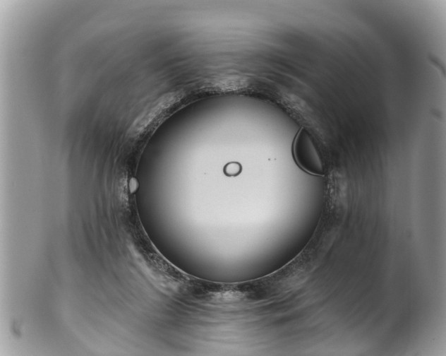 X0000102040212200807251422