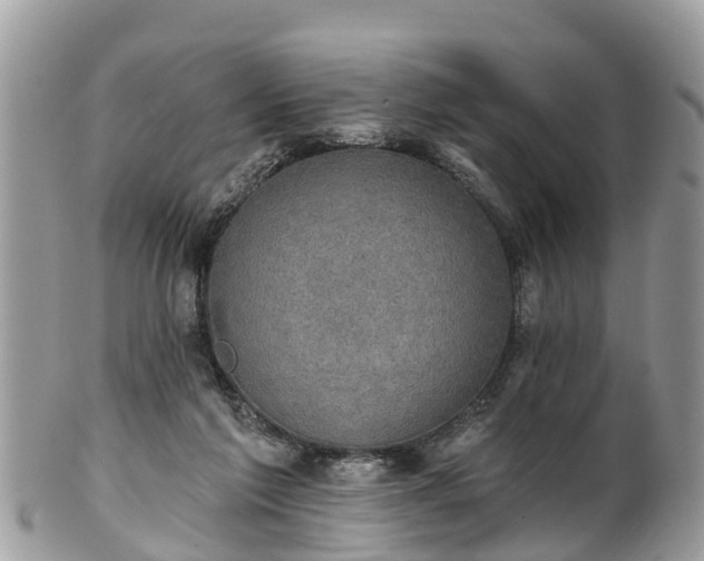 X0000102040213200807251422