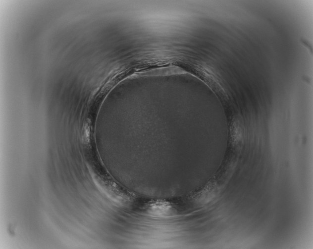 X0000102040214200807251422