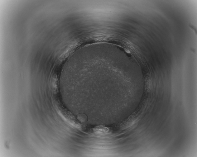 X0000102040215200807251422