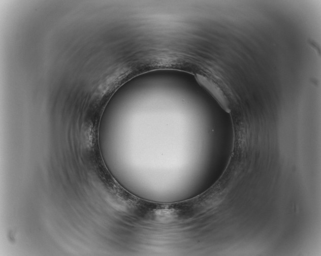 X0000102040216200807251422