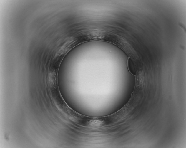 X0000102040218200807251422