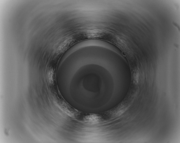 X0000102040219200807251422