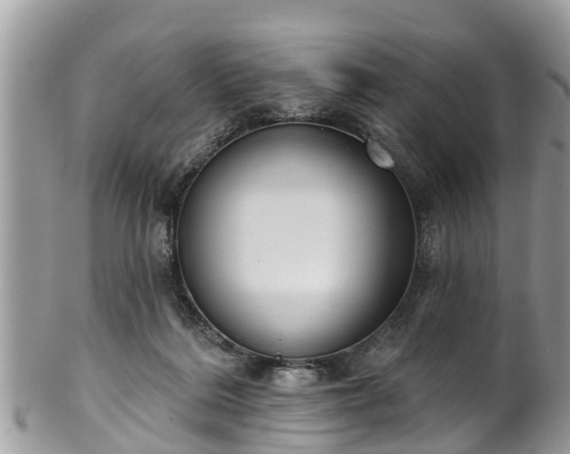 X0000102040220200807251422