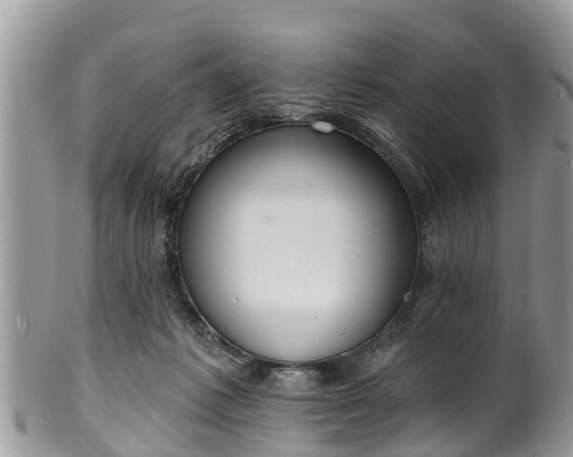 X0000102040221200807251422