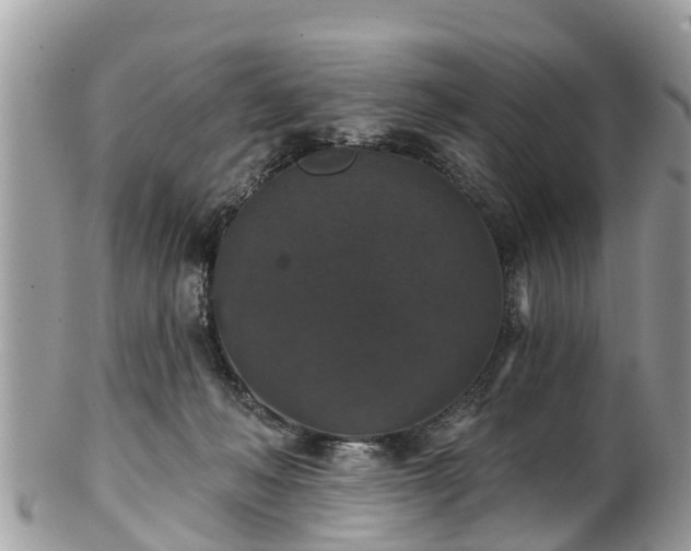 X0000102040222200807251422