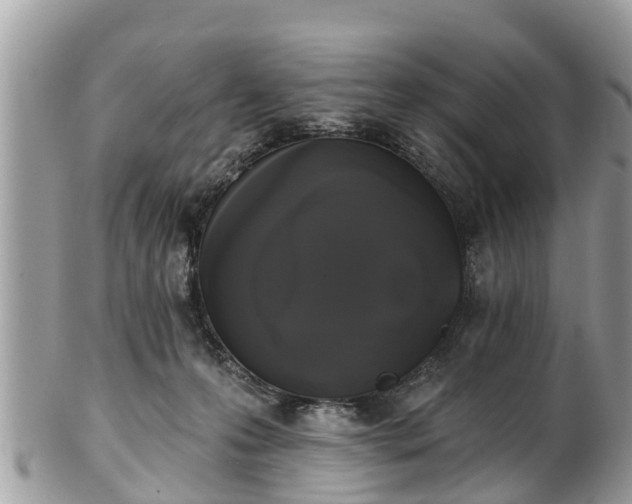 X0000102040223200807251422