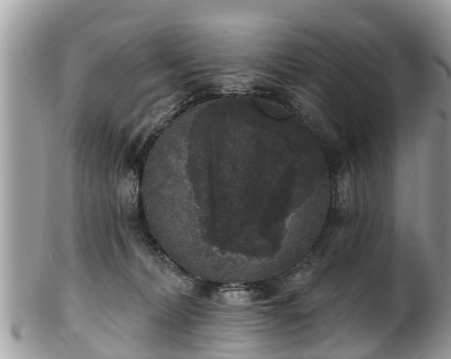 X0000102040228200807251421