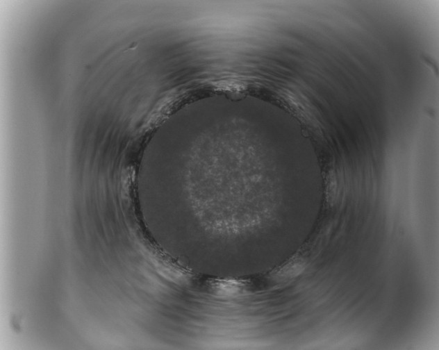 X0000102040229200807251421