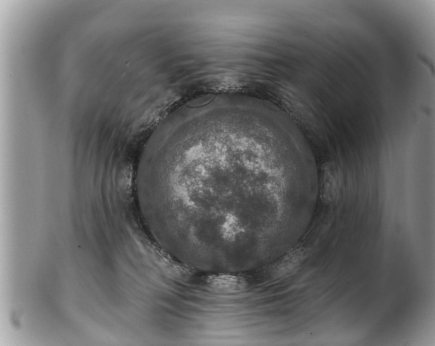 X0000102040230200807251421