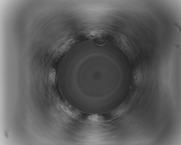 X0000102040231200807251421