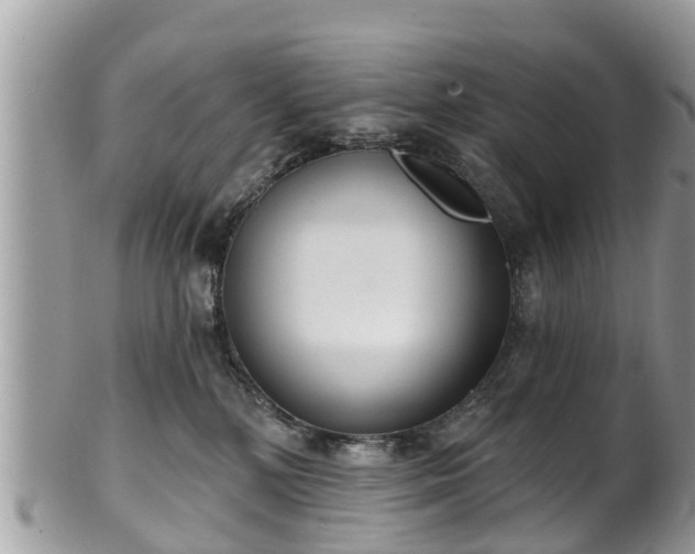 X0000102040232200807251421