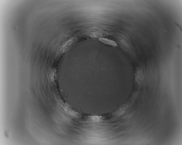 X0000102040233200807251421