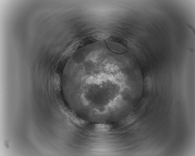 X0000102040234200807251421