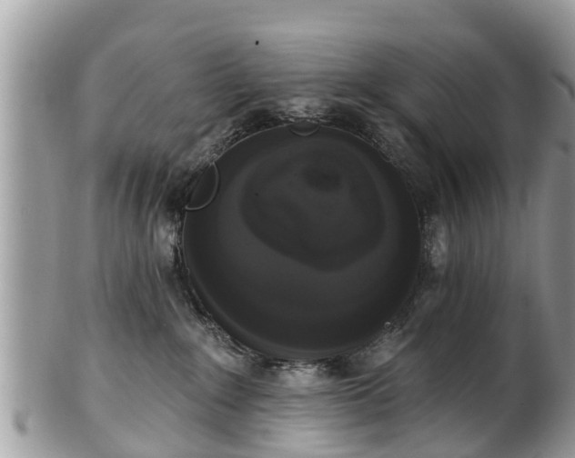 X0000102040235200807251421