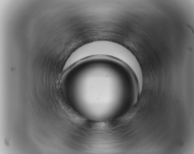 X0000102040237200807251421