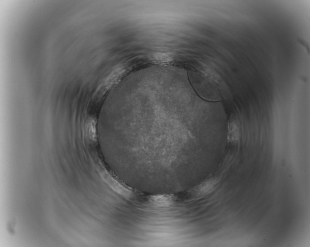 X0000102040238200807251421