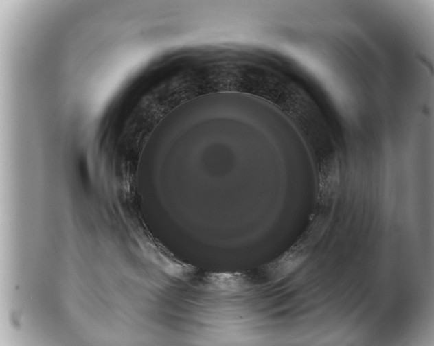 X0000102040239200807251421