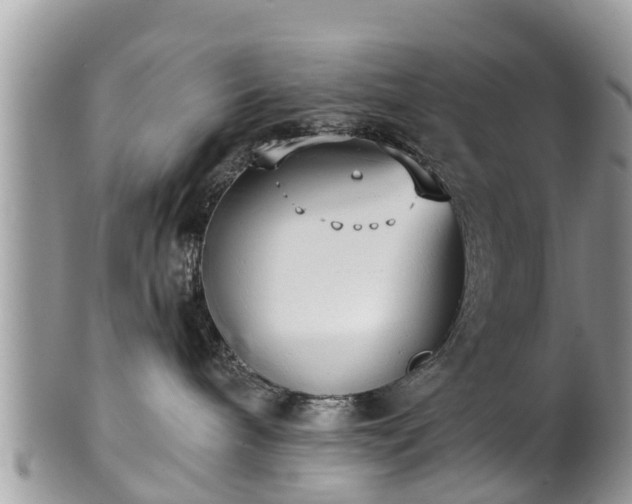 X0000102040240200807251421