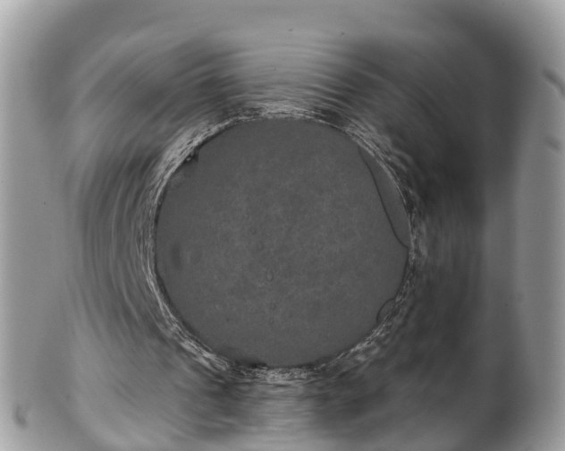 X0000102040241200807251421