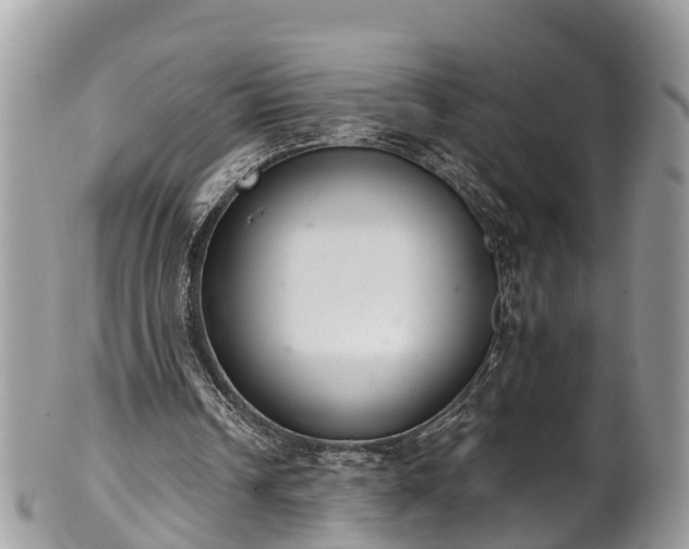 X0000102040242200807251421