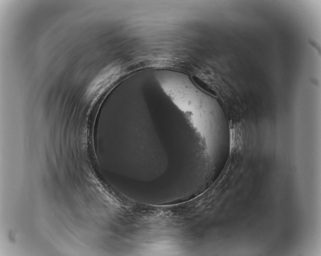 X0000102040243200807251421