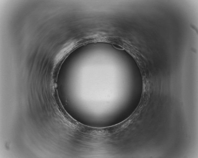 X0000102040245200807251421