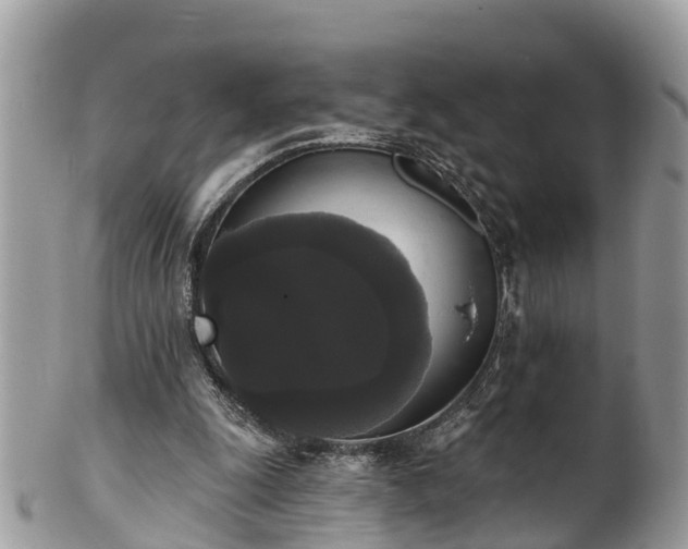 X0000102040247200807251421