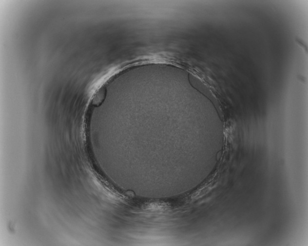 X0000102040248200807251421