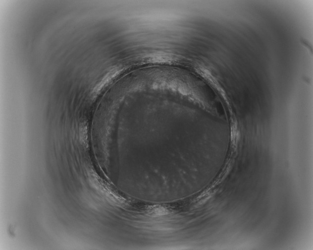 X0000102040249200807251421