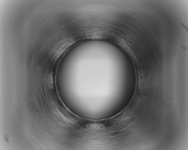 X0000102040251200807251421