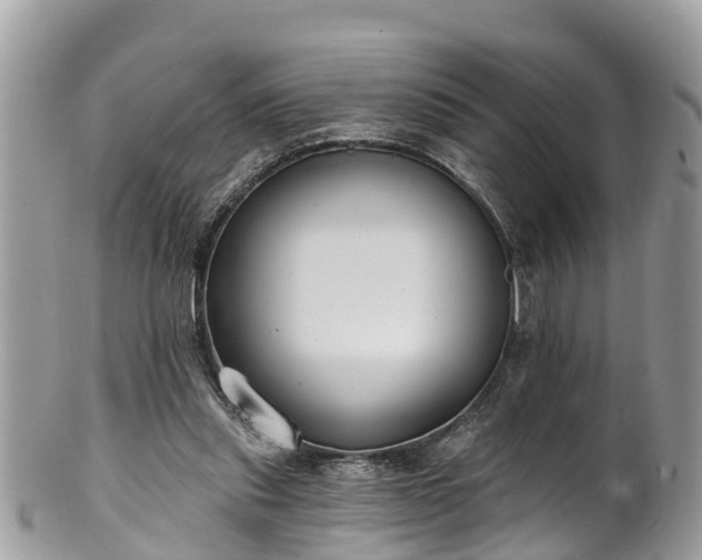 X0000102040253200807251421