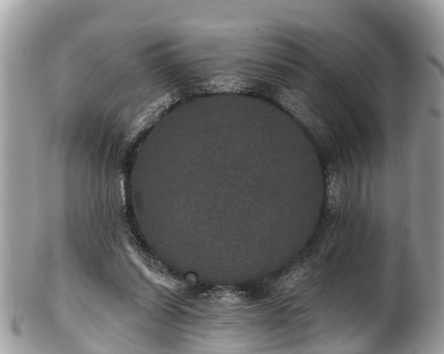 X0000102040254200807251421