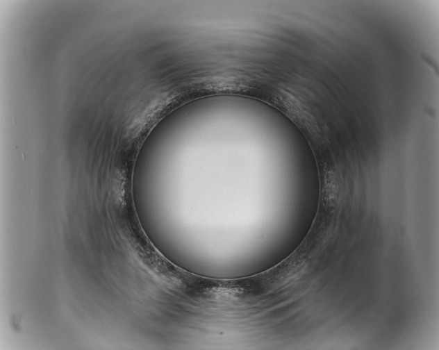 X0000102040255200807251421