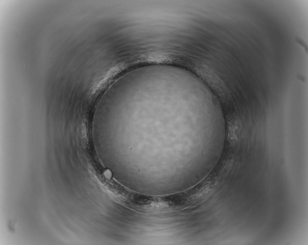 X0000102040256200807251421