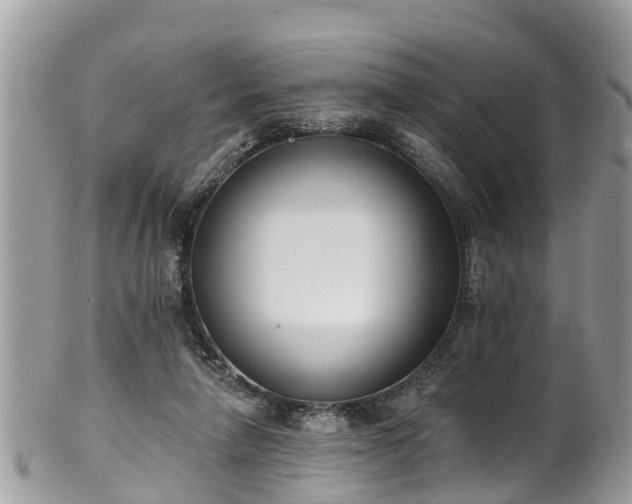 X0000102040258200807251421