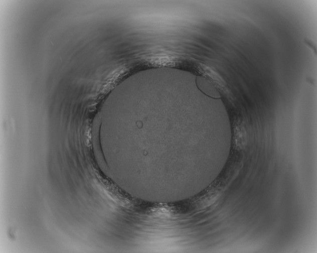 X0000102040259200807251421