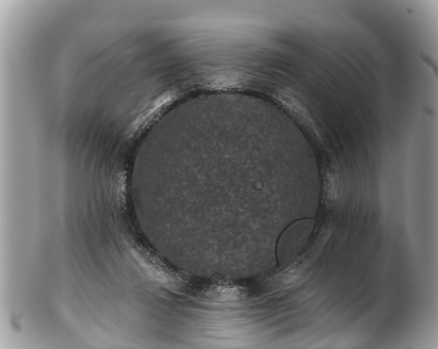 X0000102040260200807251421