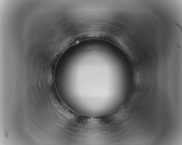 X0000102040261200807251421