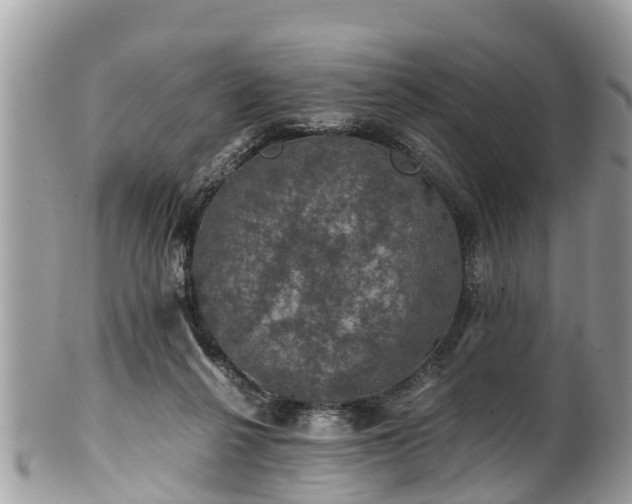 X0000102040264200807251421