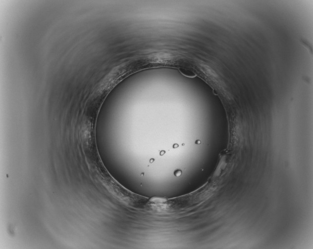 X0000102040265200807251421