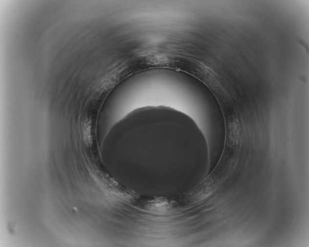 X0000102040267200807251421