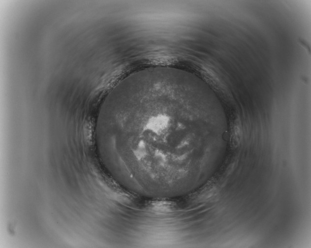 X0000102040268200807251421