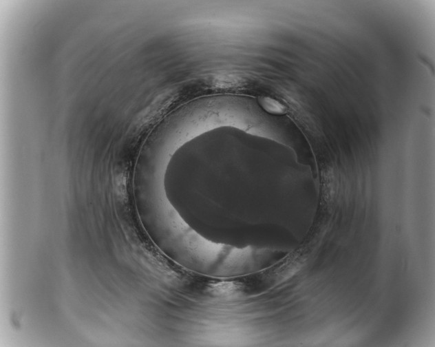 X0000102040269200807251421